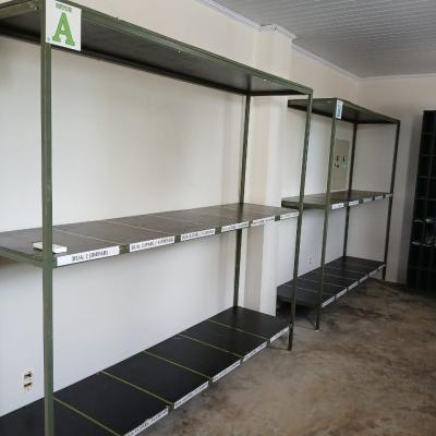 Revitalizacao Correspondencia 02